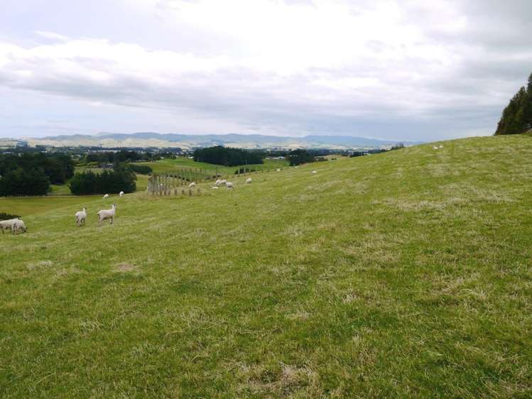 183c Smith Road Dannevirke_8