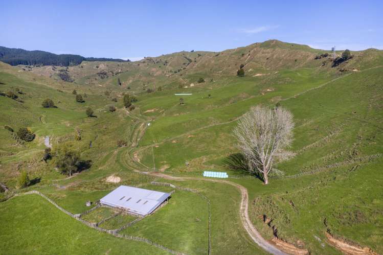 3099 State Highway 4 Te Kuiti_16