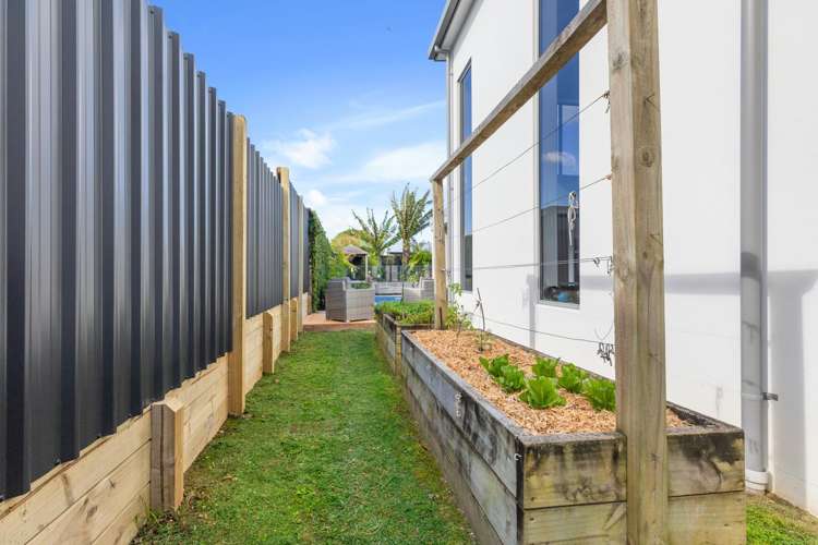 155 Sixteenth Avenue Tauranga South_53