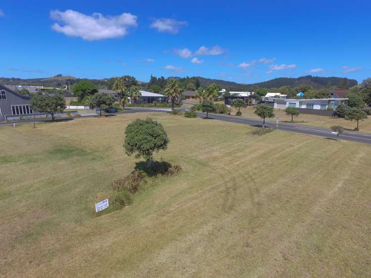 18 Flame Tree Lane Taipa_15