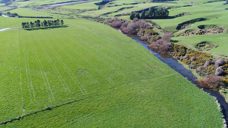 453 Mataura Island Road Wyndham Surrounds_5