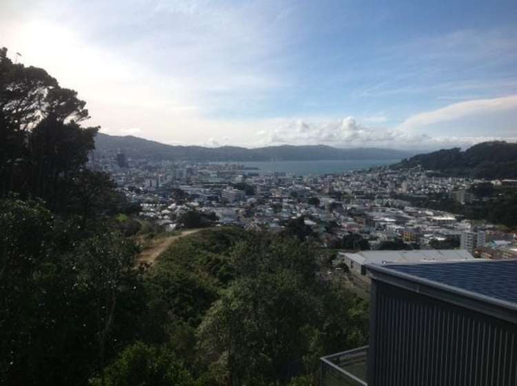 4 Pearce Street Vogeltown_0