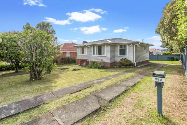 559 Hillsborough Road Mount Roskill_1