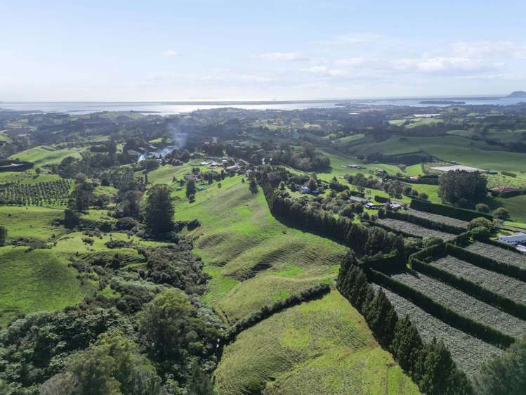 482B Esdaile Road Whakamarama_12