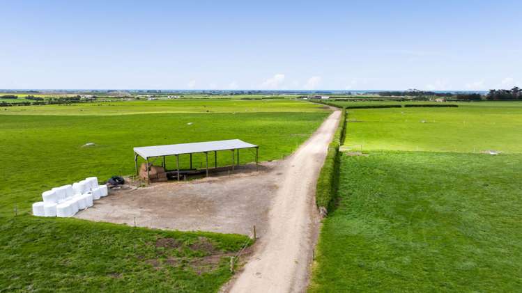 479 Upper Glenn Road Manaia_8