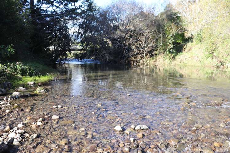 163 and 165 Tapu Coroglen Road Tapu_8