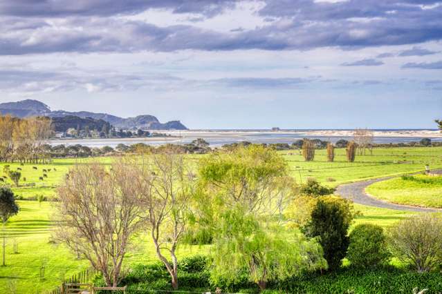 18 Tern Point Mangawhai_1