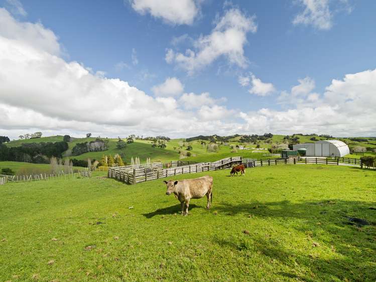 85 Heaven Road Wharehine_8