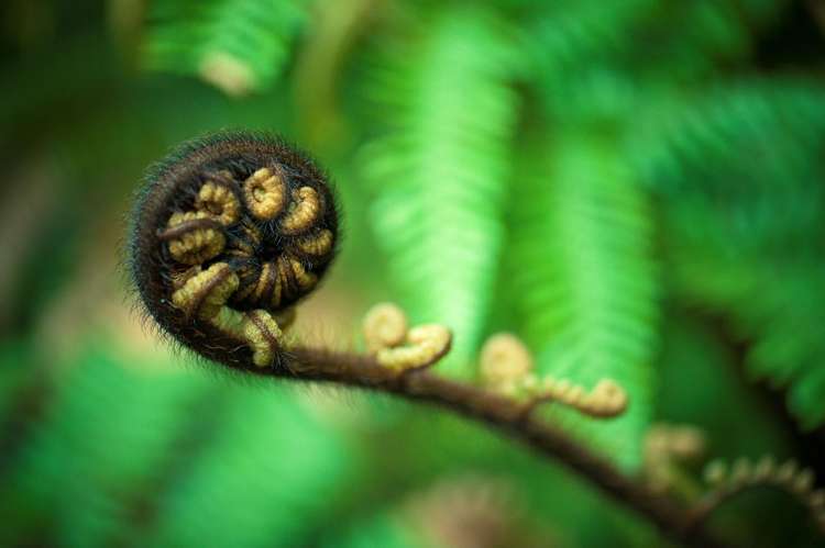 40/73 South Highway - Sovereign Pier Whitianga_16