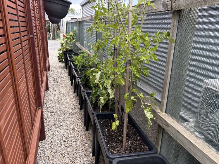 54/45 Doubledays Road Kaiapoi_14