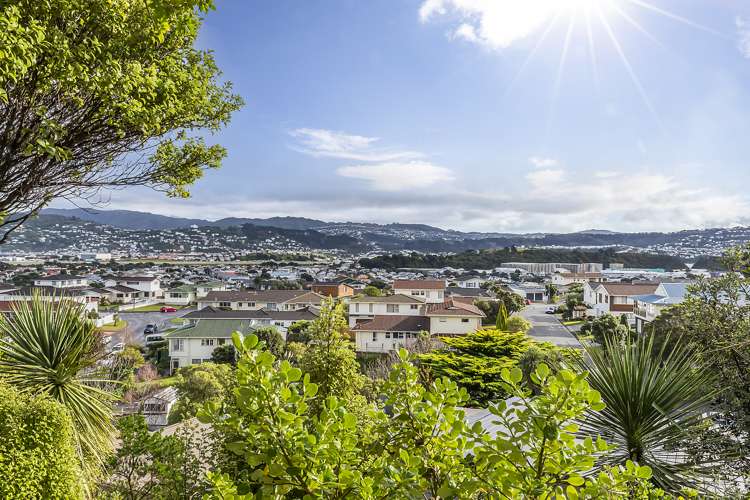 11 Tio Tio Road Miramar_14