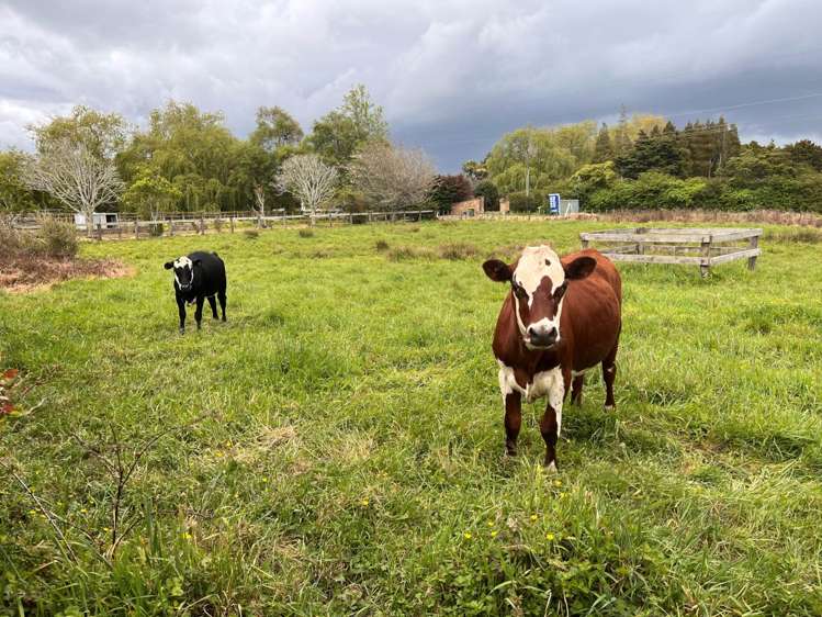 69 Appleby Road Drury_18