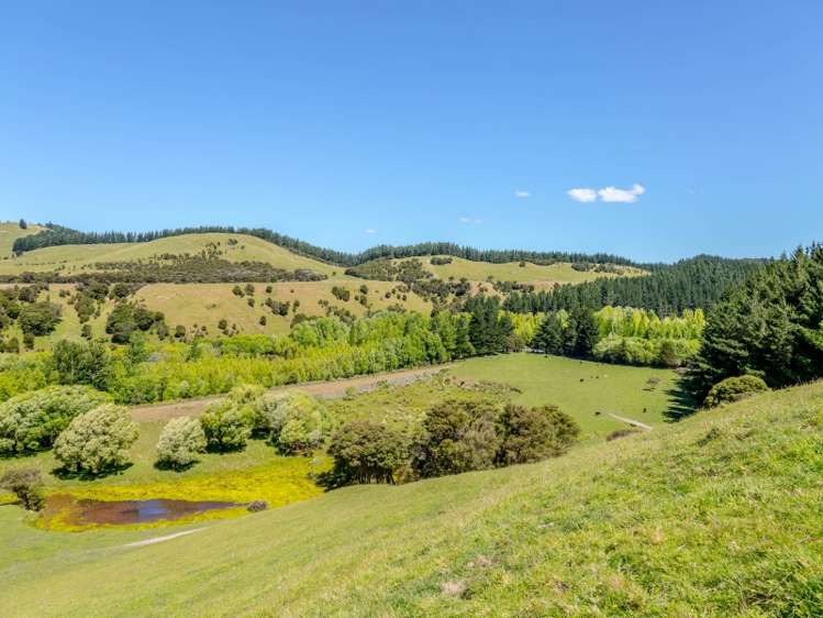 2928 White Rock Road Tuturumuri_13