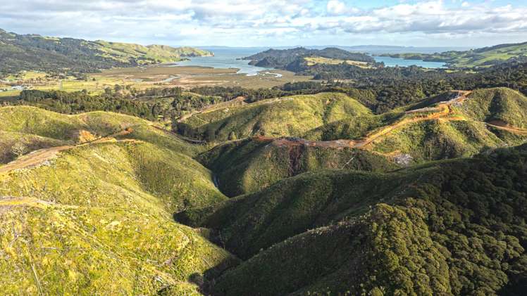 982B Manaia Road Coromandel_10