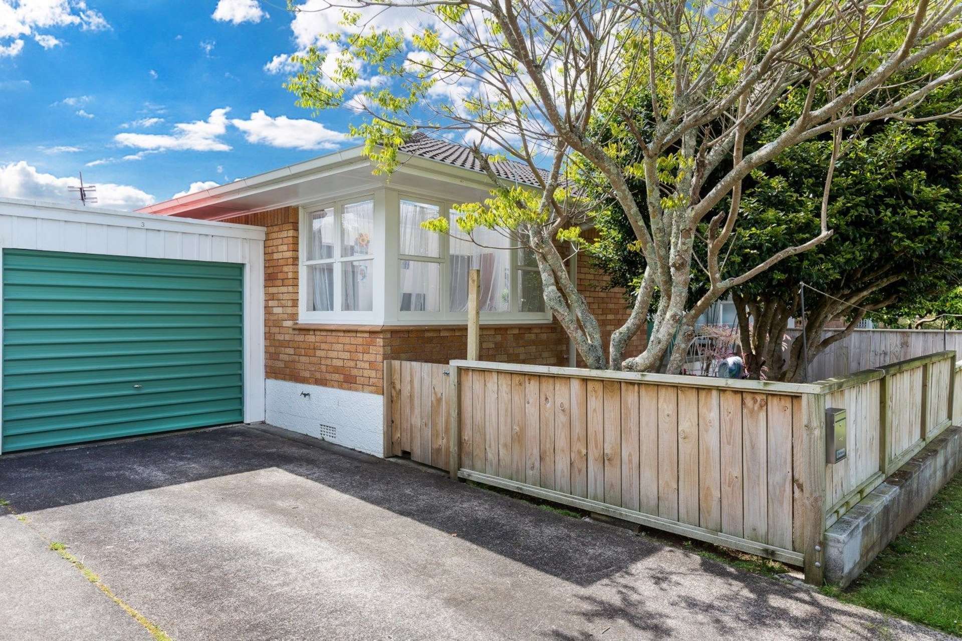 3/41 Owairaka Avenue Mount Albert_0