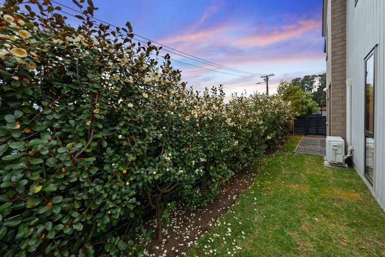 1/12 Glendon Avenue Avondale_25