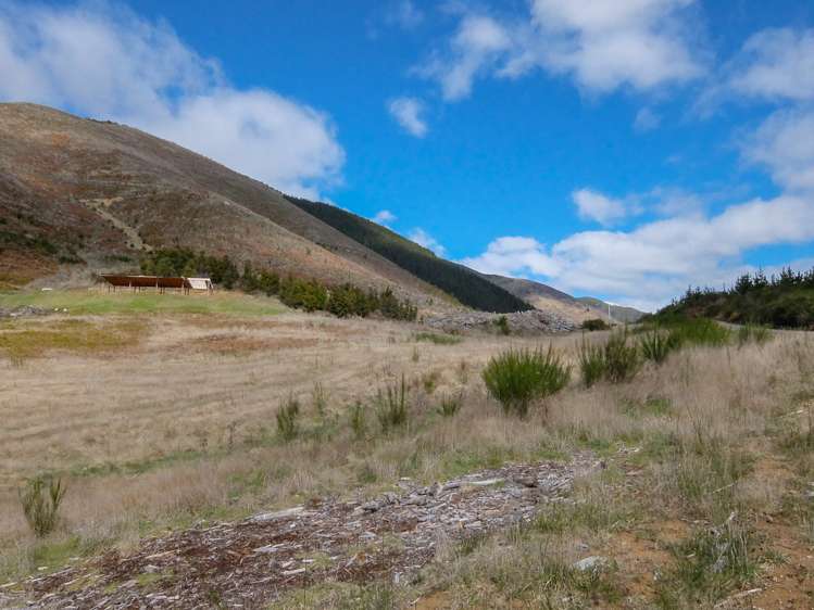 State Highway 63 Wairau Valley_9