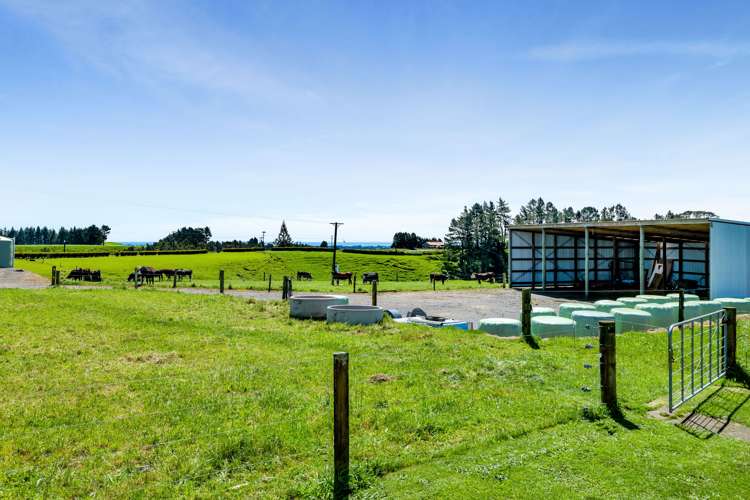 31 Clarke Road Huirangi_20