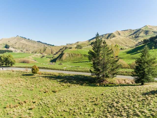 2069 Kahuranaki Road Elsthorpe_3