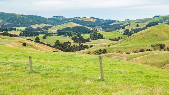 Large scale finishing - A blank canvas