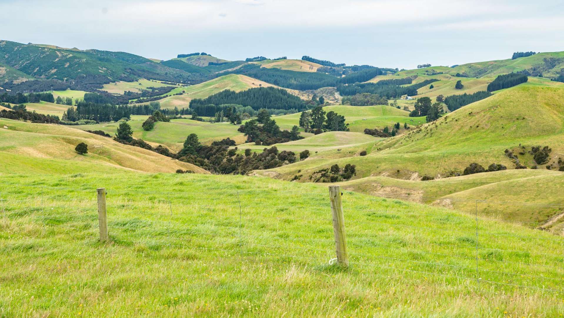 48 Heathfield Road Greta Valley_0