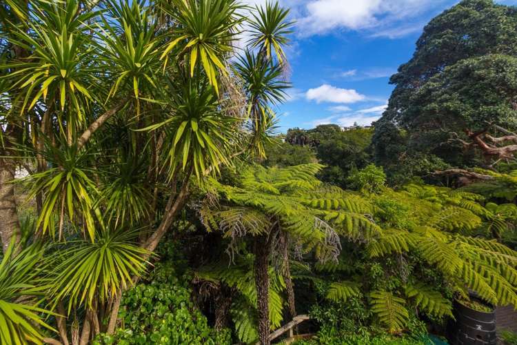 75a Goodall Street Hillsborough_6