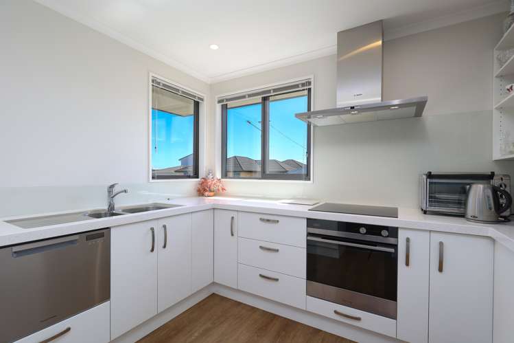 18 Andrew Street Stoke_5