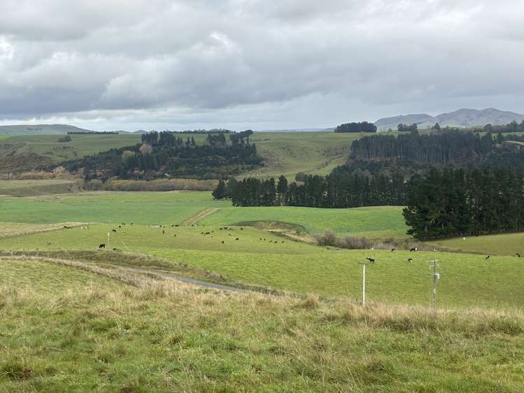 158 Kowhatu Road Waimate_24