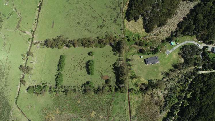 619 Medland Road Great Barrier Island (Aotea Island)_5