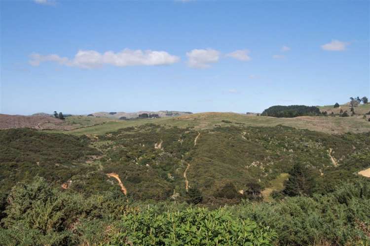 115 Mcdonald Mine Road Huntly_43