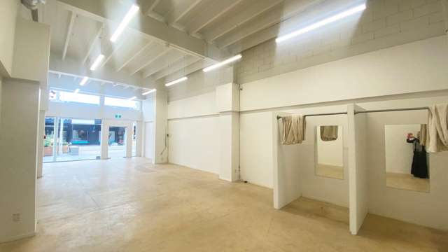 Tenancy 3/117 Willow Street Tauranga Central_3