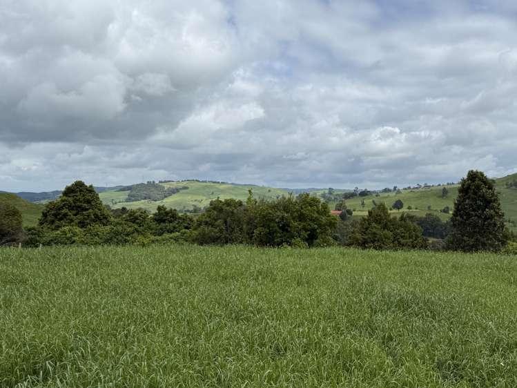 Taotaoroa Road Karapiro_6