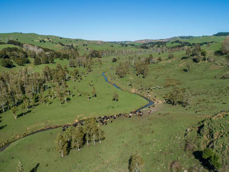 246 Allen And Eyre Road Onewhero_15