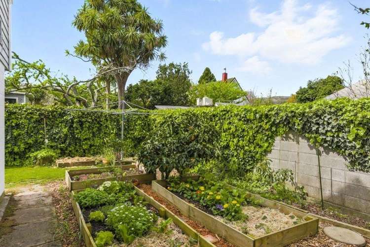 335 Te Moana Road 1366_20