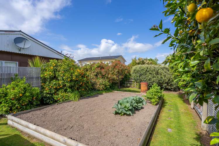 80 Venice Street Martinborough_21