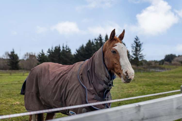 45, 49 and 51 End Farm Road Waikanae_22