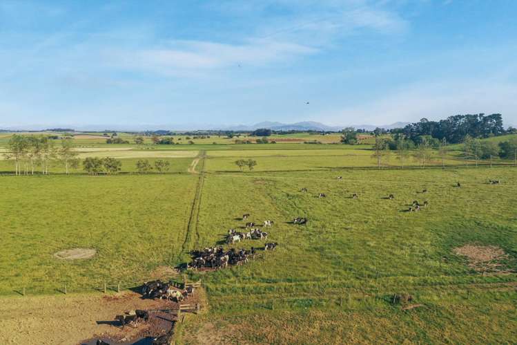 Timaru-Pleasant Point Highway Timaru Surrounds_13