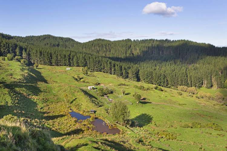 3099 State Highway 4 Te Kuiti_9