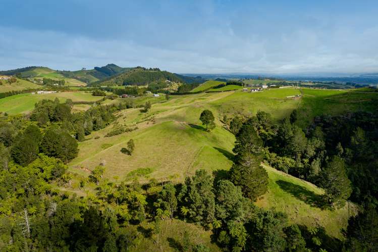 100 Kaitemako Road South Ohauiti_23