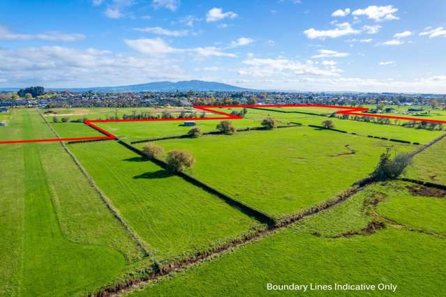 Park Road and Golf Road Te Awamutu_3