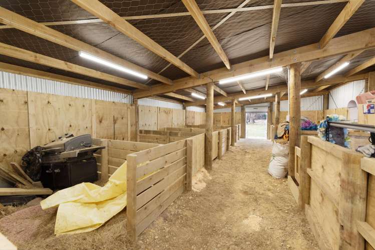 11 Horrell Road, Mandeville Gore_17