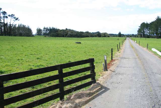 2403 Mountain Road Tariki_1