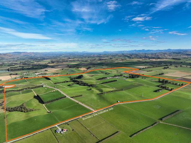 Dairy Upside - Equity Opportunity