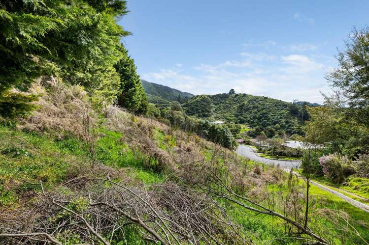 16 Webster Place Picton_9