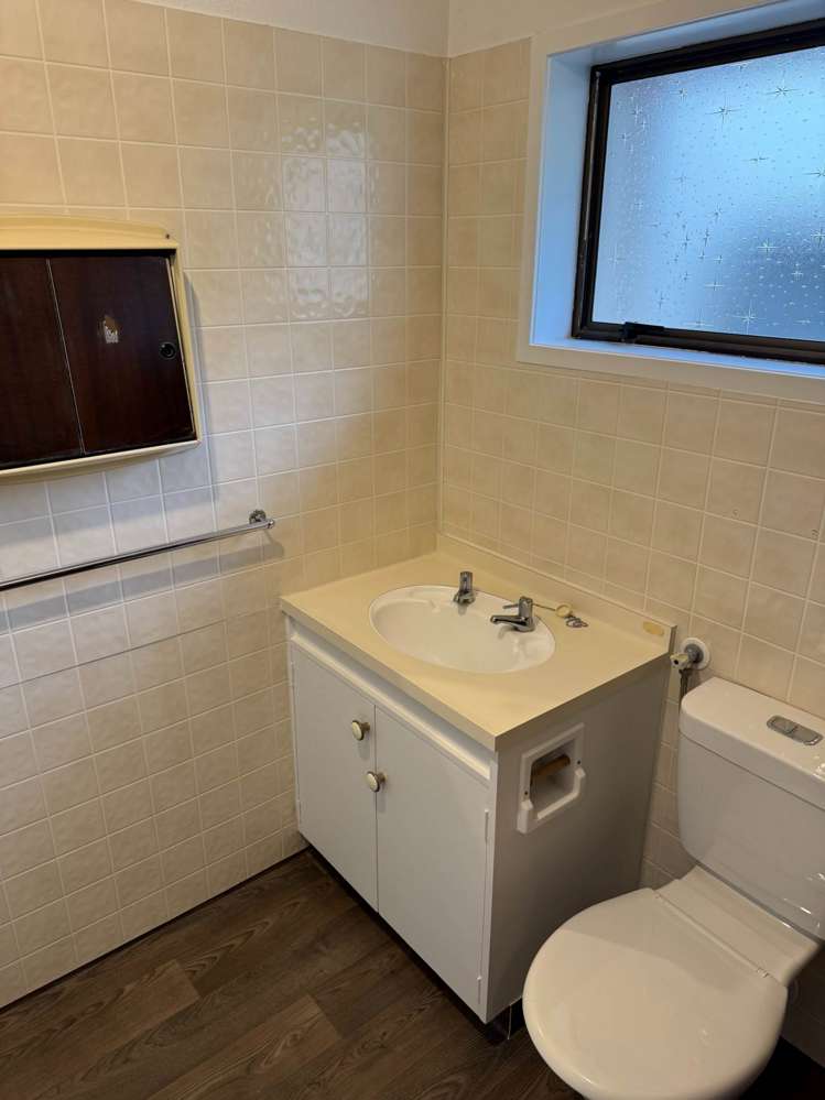 2/113 Trafalgar Street Onehunga_10