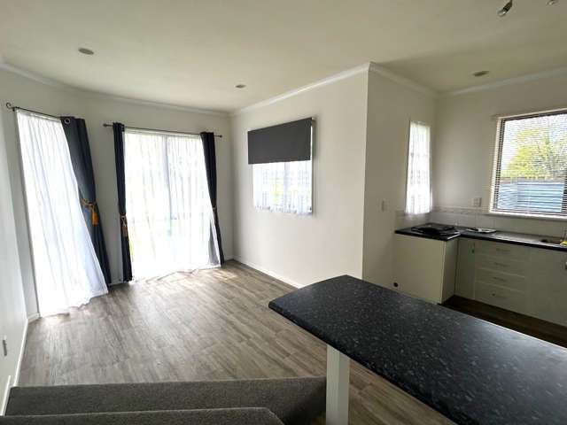 225 Te Teko Road 11582_4