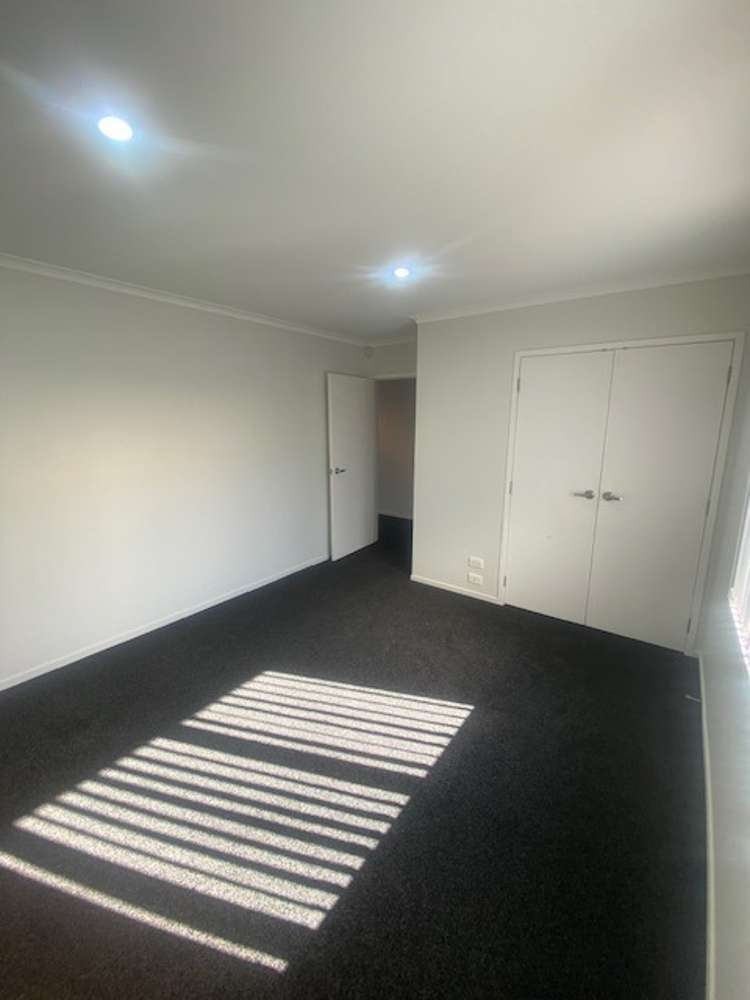 52D Lorne Street 1071_1