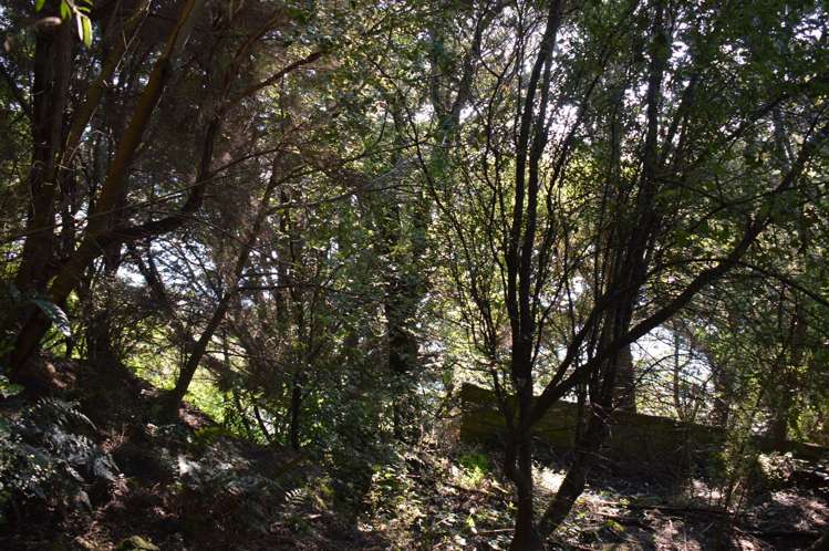 133 Wainui Main Road French Farm_5