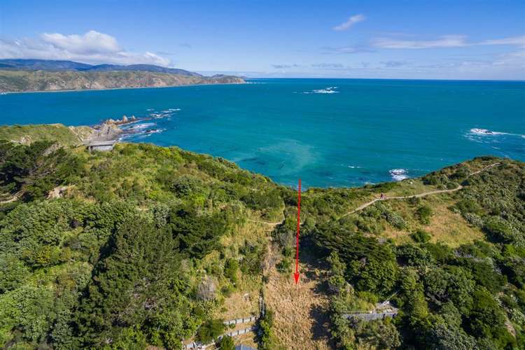 61 Mantell Street Seatoun_16