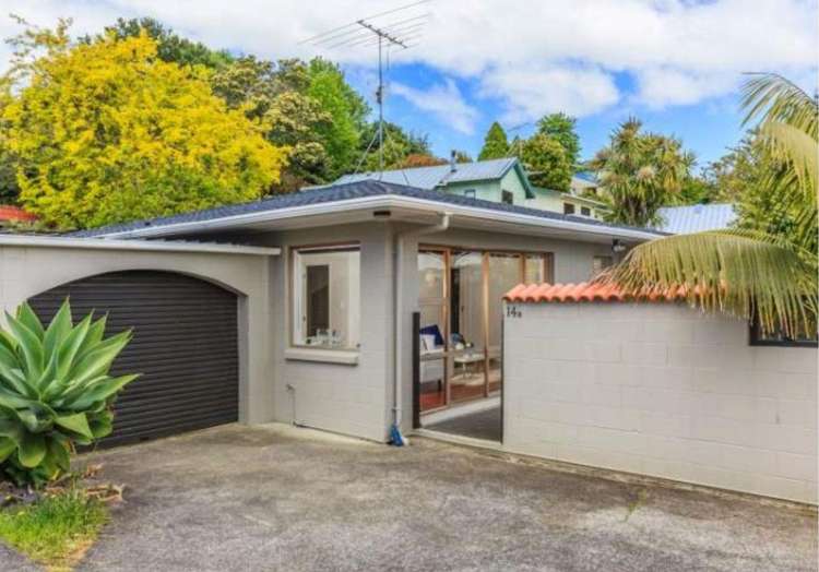 14B Hollyhock Place Browns Bay_1